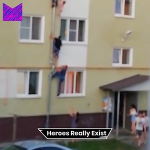 388K views · 155 reactions | Restored my faith in humanity | Animal Memes | Facebook