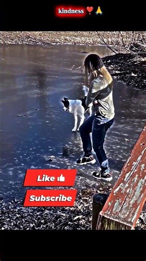 Other Acts of Animal Kindness 🐾❤️