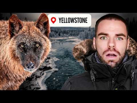 The truth about wolves changing the course of rivers