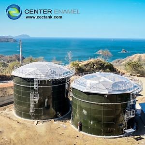[Hot Item] Clear-Span Capability Aluminum Geodesic Domes Water Plants