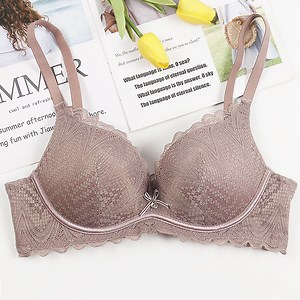 [Hot Item] Sexy Ladies Fashion New All Over Lace Women Bra