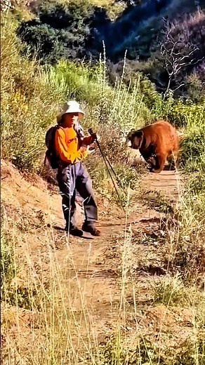 Face to Face with Wild Bear 🐻😲 | Dangerous SituationClose Call Bear Attack 🐻🎯 | Survival Moment