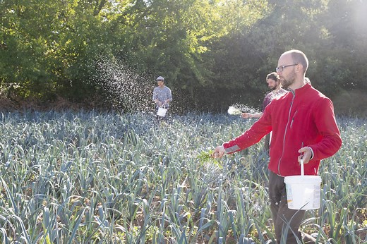 Les préparations biodynamiques