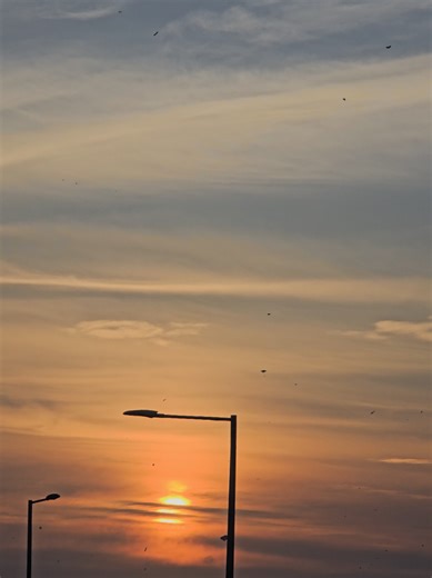 Basant 2026: Celebrate the Kite Festival