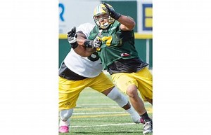 The Florida Panthers no longer have cheerleaders. The Edmonton Oilers still do.