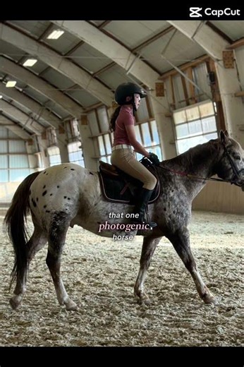 Lowkey the best model out there so move aside