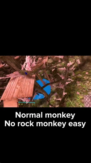 No rock monkey glitch walk #gorillatag ￼