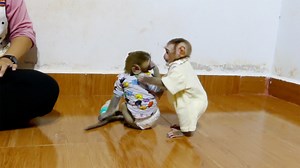 58K views · 1.5K reactions | Top model 2020! Sara super cutest baby girl wearing a new dress mom just bought for her | Monkey Daily | Facebook