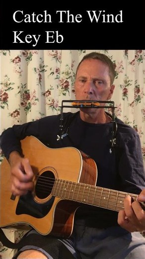 Catch the wind harmonica in Eb