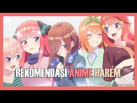 10 Rekomendasi Anime Harem Terbaik Bikin Iri!