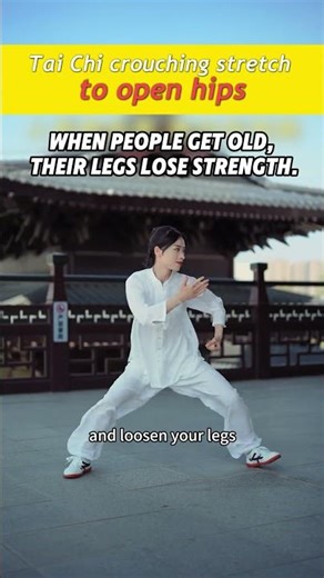 Tai Chi crouching stretch to open hips #martialarts #chineseculture