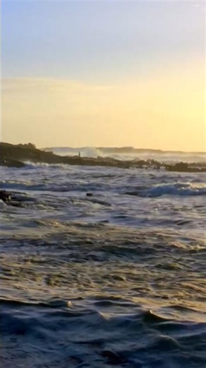 Canon 550D _ 50mm _ Stilltest