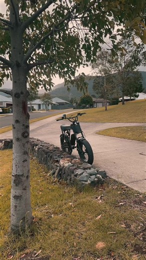 #ebike #bike #fortis #fortisfatbro #aus