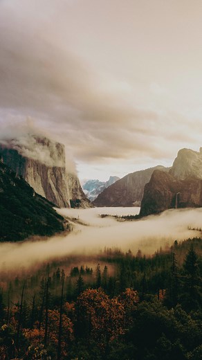 Guy Williment on Instagram: "Our first morning in Yosemite was special. Morning mist filled the valley and as the sun rose we were treated to a pretty incredible sunrise. This was my first time seeing Yosemite and I was honestly blown away by how incredible this place really was. We were told November time in the Valley can be a bit of a gamble with the weather, but thankfully were were treated with sunshine, autumn leaves and very few crowds 🙏🏽 This place is unreal. #yosemite #yosemitenationa