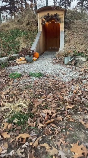 Building a Fall Root Cellar for Preservation