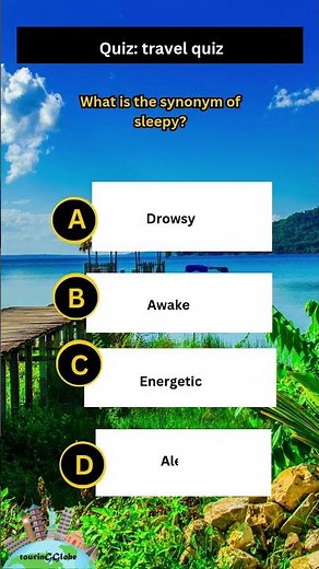 FUN Synonym QUIZES to Test Your Vocabulary!