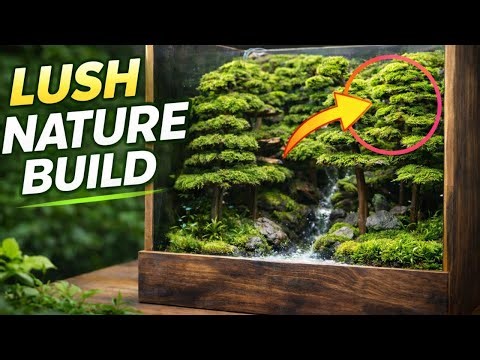 Transforming an Empty Tank into a Lush Green Aquascape