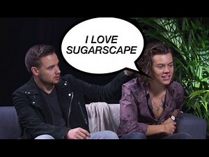 One Direction, 5SOS, Ed Sheeran and talk about Sugarscape: 'We're enthusiasts'