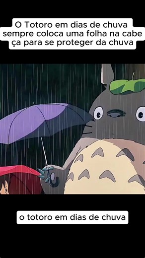 Totoro e o encanto da chuva no Brasil