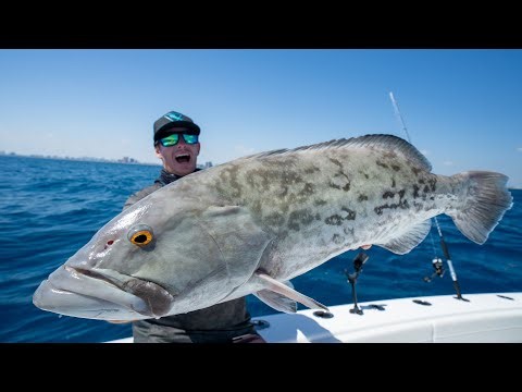 SECRET Spot was Loaded with Giants | 3 days Florida Fishing | Catch Clean Cook