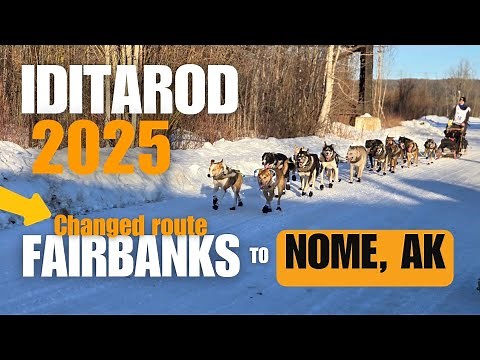 Iditarod 2025 Dog Sled Race - Fairbanks to Nome, Alaska!