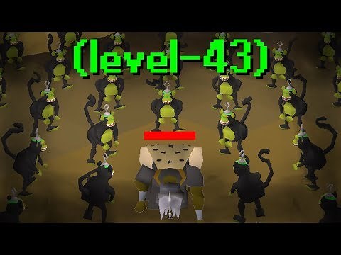 Lowest Level Monkey Madness II