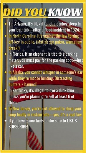 Crazy U.S. Laws Still Active Today