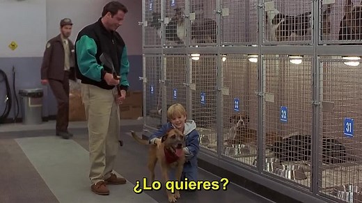 Look Whos Talking Now.720.bdrip.subesp.gnula.ok