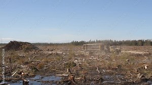 Forest industry. Operations for loading-unloading logging truck at felling (cutover area) and logging site (wood storage place). Wheel-mounted loader, round-timber grab.