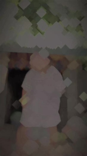 Pandar's Cute Animal Adventures with Friends