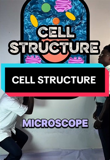 Understanding Cell Structure in Biology