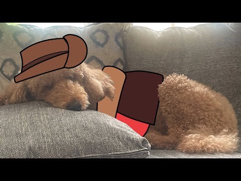 Puppy Fortress 2 (TF2 dub)