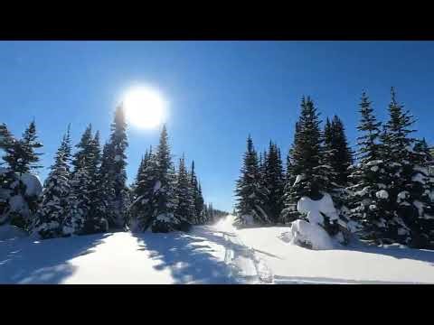 Test Ride 2022 Freeride Turbo With Tyler