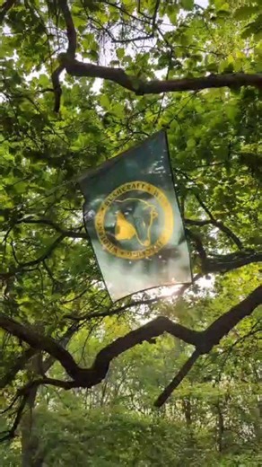 2.8K views · 47 reactions | #woodlore #raymears #Bushcraft #campcraftcourse #Woodland #woodloreflag | Ray Mears & Woodlore Limited | Facebook