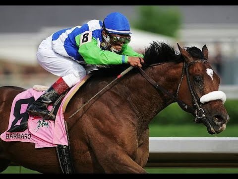 Barbaro - Six For Six : All Career Victories