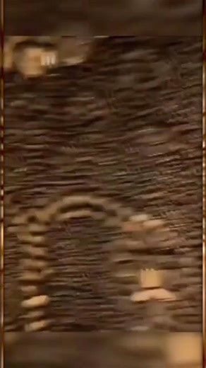 18 shares | The Shell Grotto in Kent, England. A man in 1835 was digging a duck pond and uncovered a tunnel with a mosaic made from 4.6 million shells. #AncientHistory #oldworld #tartaria #tartarianempire #Mystery #HiddenTruths | Juronh Frias | Facebook