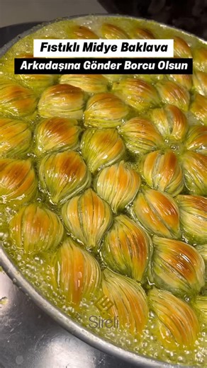 Şireli Baklava on Instagram: "Fıstıklı Midye Baklava 💚 . ☎️ 0(342) 215 3552 ☎️ 0(535) 884 7111 🖥 sirelibaklava.com.tr 📦 Kargo İmkanı: Mevcut ✈️ İhracat İmkanı : Mevcut 📍 Konum: Gazimuhtar/ Gaziantep 📌For international orders : www.tryaladdin.com 🎞️ @vifoartstudio . #gaziantep #gazimuhtar #baklava #fıstık #yeşilaltın #antepfıstığı #yemek #enfestarifler #mekanönerisi #lezzet #tat #ihracat #kargoı"