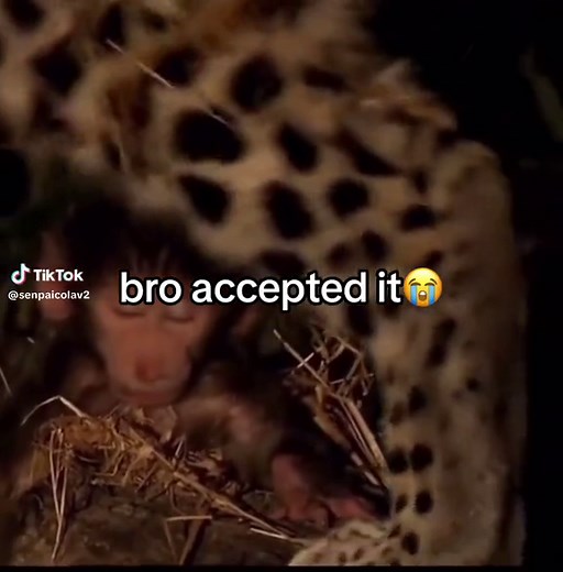 “its over” #fyp #viral | wallahi im finished