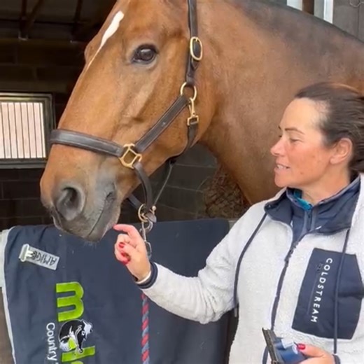 Our sponsored rider Vicky Smith Equestrian loves her Lister Eclipse clippers!🐴✨ The Lister Eclipse delivers a cordless, effortless, premium performance clip — with a super quiet motor that horses love. Vicky’s go-to for smooth, stress-free clipping. The Lister Eclipse Promo Pack includes: ✔️ Lister Eclipse clippers ✔️ Lister branded holdall ✔️ Lithium battery FREE 2nd battery worth £60 ✔️ Fine (A2F) blades ✔️ 250ml clipper oil ✔️ Exclusive 2nd & 3rd year extended warranty All of this for only £