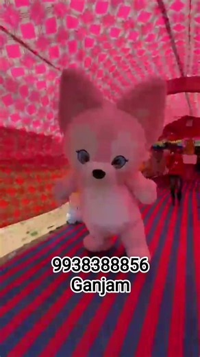 pink fox birthday party program air dancing cartoon ganjam #gorrila #ganjam purusotampur program