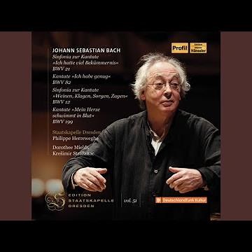 Ich habe genug, BWV 82: No. 2, Ich habe genug