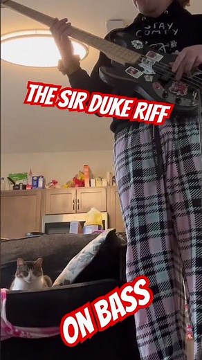The Sir Duke Riff on Bass #bass #music #funk #steviewondercover #sirduke #riff #groove