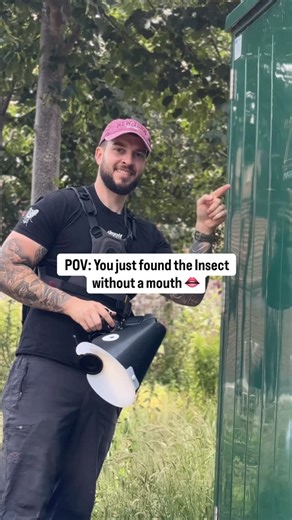 Pete Burford | Macro photography on Instagram: "Imagine not having a mouth 😶 👄 Adult mayflies don’t eat because most species lack functioning mouths; they only live off energy stored from their larval stage. 🪰 Their adult life is extremely short, lasting from a few hours to a couple of days. 🥰 Instead of eating, their only goal is to mate and lay eggs, their entire adult stage is dedicated to reproduction. #mayfly #mayflies #insect #insectphotography #wholelottabugs #macrophotography #omsyst