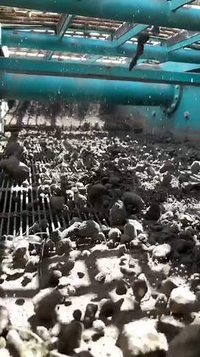 Powerscreen Warrior 1400X making clean topsoil! The top deck is processing all the 2” and over material, while the bottom deck separates all the 3/8”-2” material from the desired topsoil. #powerscreen #warrior1400 #screener #screening #crushing #crusher #crushingandscreening #aggregates #aggregate #topsoil #soil #clay #limestone #rocks #dirt #concrete #recycling #materialprocessing #heavyequipment #floridaconstruction #asphalt | Powerscreen of Florida