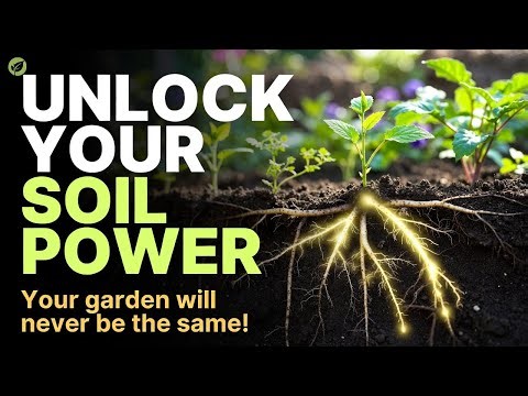 How Plants Supercharge Your Soil: Unlock Hidden Nutrients Naturally