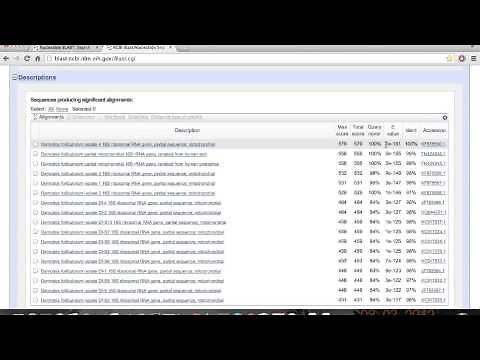 Tutorial BLAST en español
