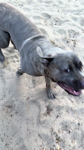 Heather feather (@heatherfeather717)’s videos with Moments We Live For (Acoustic) - In Paradise