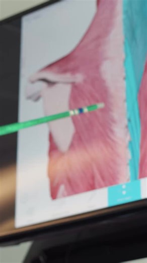 The Gold Standard in Soft-Tissue Care®, ART seminars offer immersive, low student-to-instructor ratios that will immediately impact your treatment capabilities. | Active Release Techniques