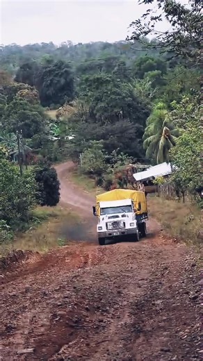 Exploring Freightliner Trucks: A Prime Example