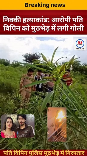 IT Samachar | News on Instagram: "निक्की हत्याकांड: दहेज की मांग को लेकर हुई दर्दनाक वारदात में निक्की पैलान की हत्या का मुख्य आरोपी पति विपिन भाटी पुलिस मुठभेड़ में गोली लगने के बाद गिरफ्तार हुआ। @it_samachar_official #itsamachar #viral #breakingnews #viralvideo #reels #instagram #InstaReels #GreaterNoida #LocalNews #sirsa #nikkipayla"